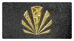 DSC700 602 GD SH BK Gold Sunburst Shimmer Black Background